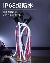古法鱼缸鱼池专用水下防水LED灯带IP68实心硅胶灯条自粘24V户外