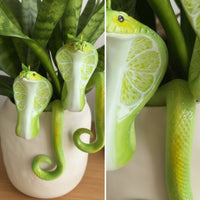Pot Huggers with Reptilian Pattern Decorative Plant Pot Huggers Playful Hanging Basket Ornament for Interior Stylists