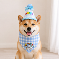 Dog Costume Festive Set, 4-piece Dog Bandana & Hat for Birthday, Polka Dot Dog Bandana for Photoshoots, British Style