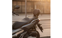 Passenger Backrest Padded Back Support with Mounting Brackets Foam Padding for Commuters, Long-Distance Riders