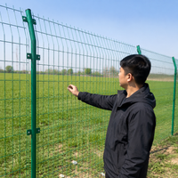 Grass Green Wire Fence Panel, Double Wire Mesh Fencing, PVC Coated Galvanised Security Fence Panels for Solar Farms, Livestock Enclosure Fencing