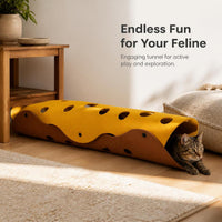 Collapsible Cat Tunnel Bed with Detachable Washable Mat, Interactive Play Toy for All Seasons