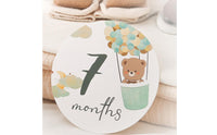14 Pieces Baby Milestone Cards Pastel Milestone Card Set with Teddy Bear Cute Whimsical for Parents, Nursery Photos, Scrapbook
