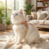 Small Dog Harness and Small Cat Harness Set, PU Leather Walking Harness with Collar, Outdoor Pet Gear Travel Harness Adjustable Loop Leash