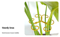 Lotus Shape Plant Holder Decorative Stalk Support Spiral Design Plant Trellis Gold Iron Grapple Holder for Potted Plants, Office