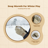 Winter Gloves, Waterproof Windproof Thermal, Outdoor Ski