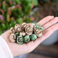 20 Pieces Top Dressing Vintage-Look Mini Dragon Figurine Double Hued Garden Decor