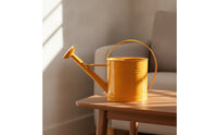 Metal Watering Can with Sprinkler Head Arched Handle Watering Can with Long Spout Stylish Vessel Modern for Gardeners