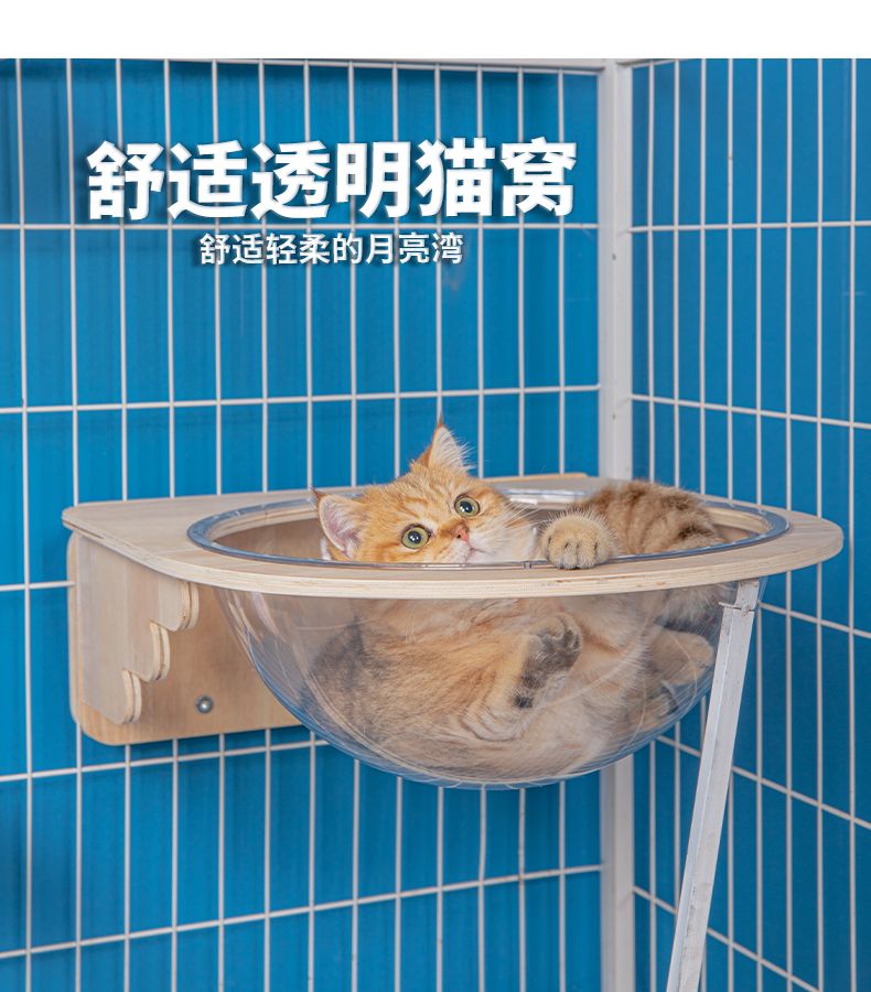 猫笼猫爬架壁挂太空舱跳板平台节约空间猫抓柱实木爬梯兔子悬挂窝