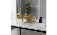 Euphonium with Hard Case 4 Key B♭ Euphonium Valved Wind Instrument for Performance, Rehearsal