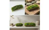 Woodland Decorative Mossy Tree Bark Woodland-Themed Artificial Tree Bark Decor Naturalistic Moss Covered Log Rustic for Terrarium, Photography Setup, Shop Display