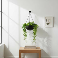 Metal Hanging Plant Pot Indoor Outdoor Round Hanging Basket with Chain for Patio