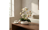 Phalaenopsis Tabletop Flowering Plant Decor 12-Blossom Flowering Plant Bonsai Photography Prop Film Material