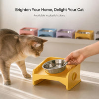 Elevated Pet Feeder with Stainless Steel Bowl, Spill-Proof & Neck Protection Design for Cats and Small Dogs