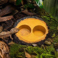 Aquarium Resin Ornament Tree Decor for Fish Tank, Reptile Feeding Bowl, Lizard Gecko Habitat Decoration