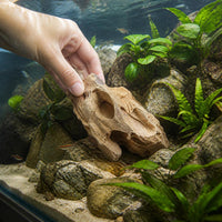 Natural Pine Bark Stone for Aquarium Landscaping, Terrarium, and Bonsai Decor