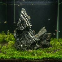 Natural Qinglong Stone for Aquarium Landscaping and Moss Terrariums