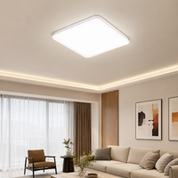 White Polycarbonate Replacement Cover, 37cm Square Cracked Ice Panel, Decorative Lamp Cover for School Ceiling Panels, Diffusion Cover Sheet