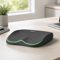 seat cushion set