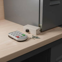 Electronic Locker Lock Low Electrical Level Alarm Digital Cabinet Lock Universal Serial Bus Connector Emergency Power Touch Password Latch