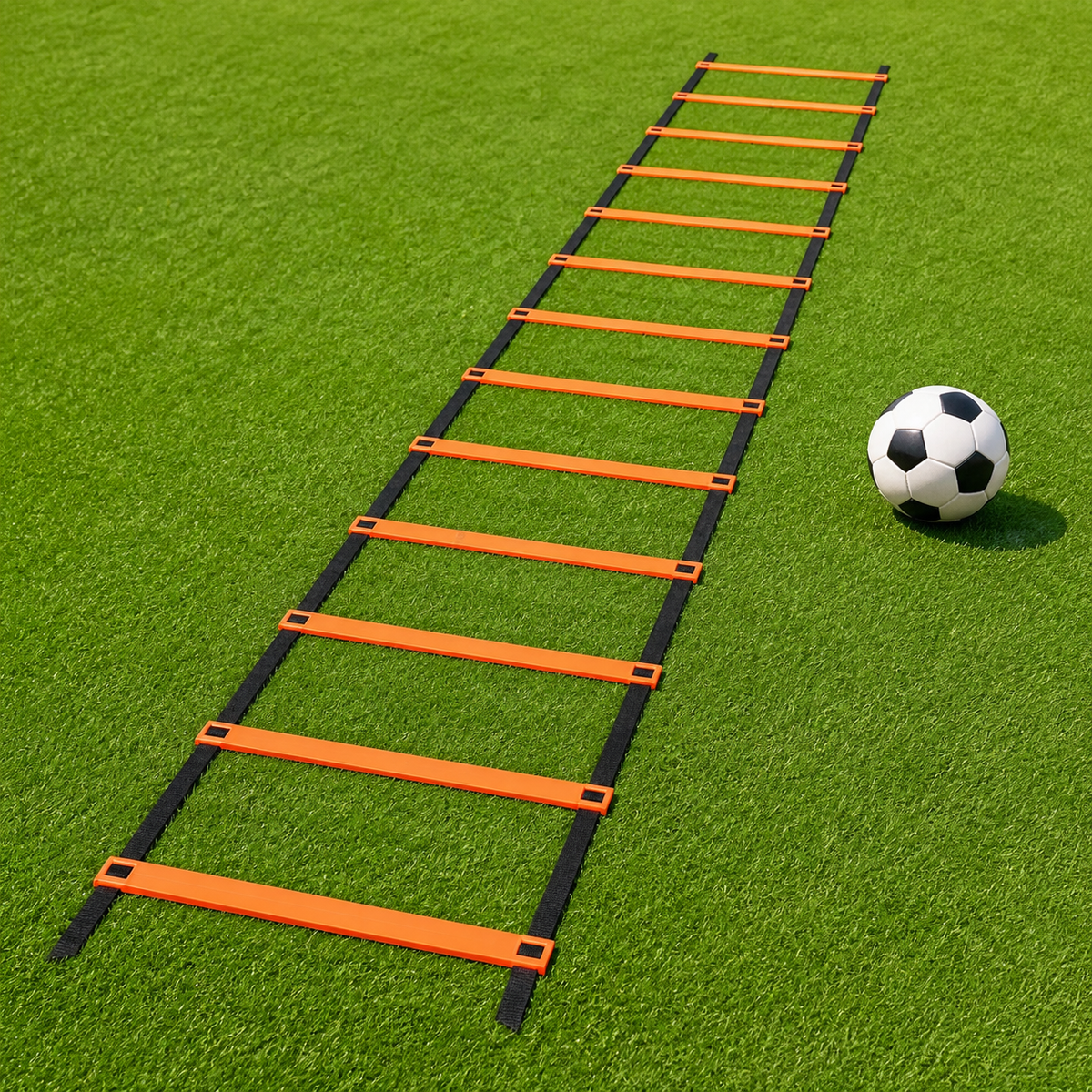 agility ladder