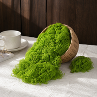 artificial moss