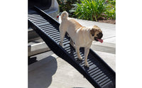 Pet Ramp Tri Fold Non Slip Surface Supports 165 Lbs for Suvs