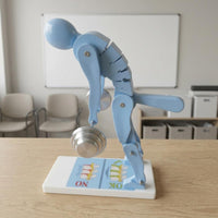 Movable Joints Spine Example ABS Material Lifting Posture Model Blue Support Example Segmented