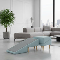 Convertible Pet Ramp Stool 2-in-1 Design Sofa Approach Ramp for Dogs for Bedside