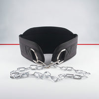 Padded Support Belt Hook-and-Loop Weightlifting Belt Metal D-Rings Sports Gear Reinforced Stitching for Weightlifters, Gym Users