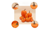 8 Pieces Assorted Artificial Pumpkins Decorative Artificial Pumpkins with Molded Decorations for Crafters