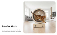 quiet Operation feline sprintning Wheel No Assembly Required Treadmill with Integrated Play framework Promotes Fitness Feline Exercise apparatus Reduces Boredom for Apartment, Indoors, Living Room, Home