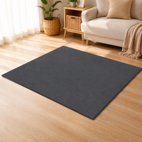 Felt Dog Mat, Large Dog Bed, Small Dog Bed, Light Gray Warm Anti-Bite Pet Mat, Dog Crate Mattress for Medium Dogs
