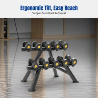 Dumbbell Rack, Commercial Home Gym Storage, Thick Steel, Double Tier
