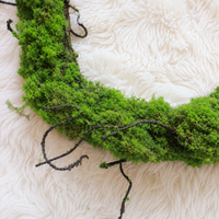 decorative vine