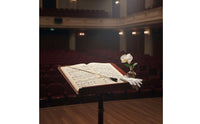Orchestral Music Rod Solid Wood Wooden Conductor Rod Ergonomic Ergonomic Metal Handle Conductor Rod for Conductors, Concert, Rehearsal