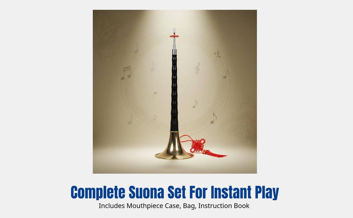 Professional D Key Suona, Faux Rosewood Ebony, Full Set, Beginner Friendly, Chinese Wind Instrument