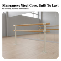 Double Dance Training Bar Stable Base Fixed Dance Practice Bar Heavy Duty Floor Mounted Dance Barre for Dancers, Beginners, School, Gym
