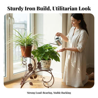 European aesthetic 2-Tier Planter Holder Floor-Standing 2-Tier Plant Stand Decorative blossom shelf spaceSaving for Indoor Gardeners, home dwellers, Balcony, Living Room, Entryway, Corner