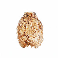 Decorative Glass Vase Sturdy Honey Toned Glass Vase Easy to Clean Home Decor