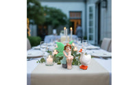 Girl and Goose Figurines Easy to Display Seated Girl with Goose Ornaments Smooth Finish Fairy Garden Animal Decors for Bonsai