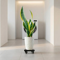 Rolling Plant Stand Indoor Plant Stand with Wheels Outdoor for Gardeners