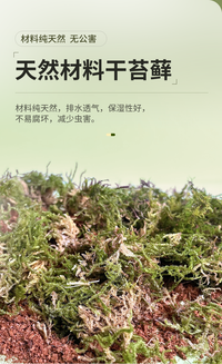 乌龟冬眠土爬宠椰土免泡型巴西龟草龟过冬窝沙土箱保暖苔藓饲养箱