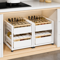 Large Under Sink Organiser, 2 Tier Pull Out Drawers for Cabinets, Metal Bathroom Storage with Stainless Steel Rails, Kitchen Cabinet