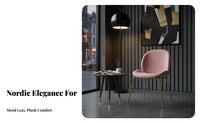 Nordic Design Beetledesign Chair Light Luxury Home Seating Gilded Legs Shell-Shaped Seat for Restaurant Owners, Interior Designers, Dining Room, Bedroom, Kitchen, study alcove