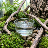 Smooth Edge Bowl Reptile Water Bowl, Glass Water Dish for Snakes and Reptiles, Stackable Flat-Bottomed Basin for Geckos and Scorpions