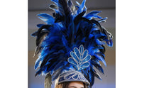 Feather Headpiece Glittery Feather Headband Sparkling Hair Accessory for Entertainers, Partygoers, Dance Performances