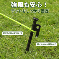 tent stakes and guy lines