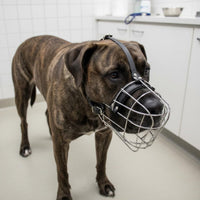 Adjustable Straps Breathable Basket Muzzle Long-Lasting Wire Basket Muzzle Anti Bite Pet Accessory Drinkable for Large Dogs, Walks, Training, Vet Visits