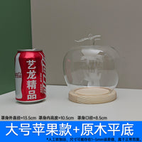 顶饰手办盲盒玻璃罩展示盒永生花小野小王子防尘罩透明罩烛台摆件